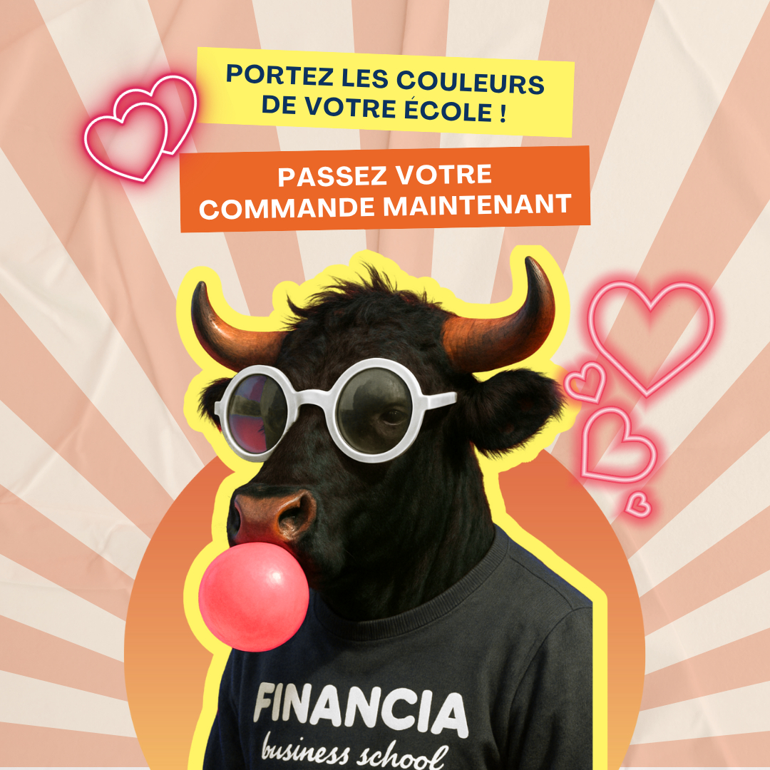 Nouvelle collection Financia !